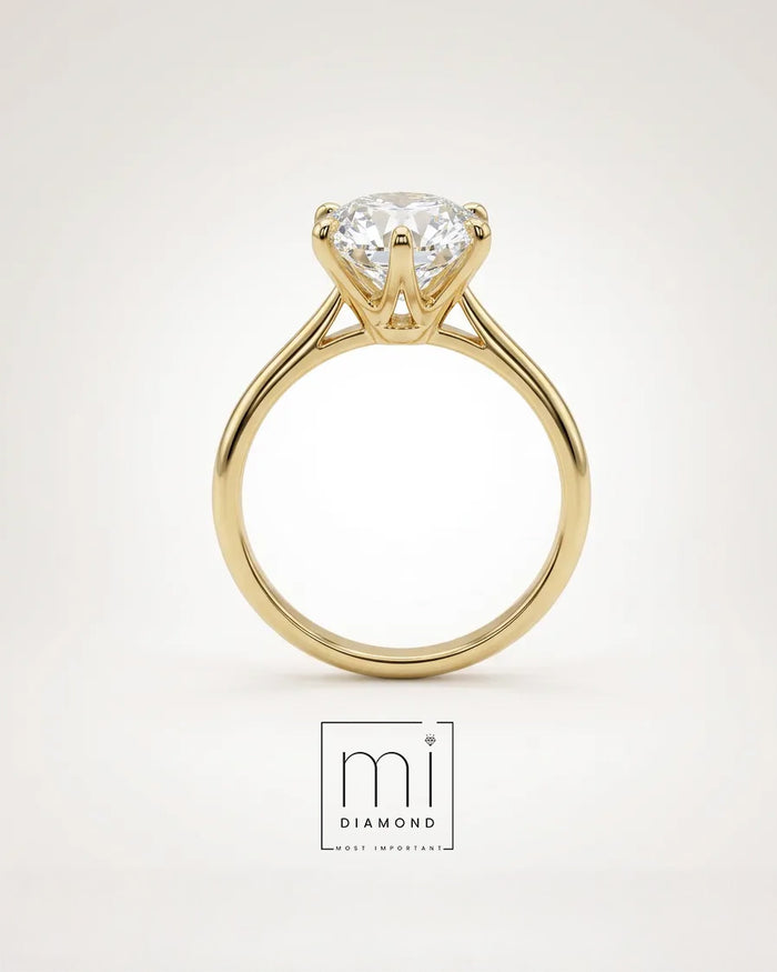3.05 Carat D color Vs1 Yuvarlak IGI Sertifikalı Laboratuvar Pırlanta Yüzük